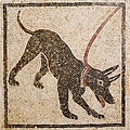 'Cave canem' (beware of the dog) mosaic