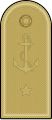 Distintivo per controspallina delle uniformi ordinaria e di servizio estiva.