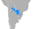 Thumbnail for Guarani language