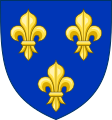Arms of the Kingdom of France (Modern)