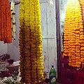 Marigold varieties prepared as offerings to a god during the Hindu festival of Maha Shivaratri