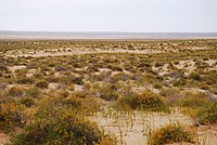 Gobi desert, a cold desert
