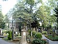 Blick zwischen die Gräberreihen des Alten Friedhofs – im Hintergrund die Georgskapelle