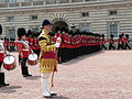 Drum Major in state dress (unchanged since 1685) and the Coldstream Guards Corps of Drums