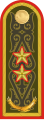 Генерал-лейтенант General-leytenant[28] (Kazakh Ground Forces)