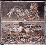 Ancient Roman mosaic of a cat killing a partridge from the House of the Faun in Pompeii