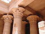 Chapiteaux papyriforme ouverts. Temple d'Isis