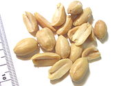 Jordnötter är baljväxter och valnötter är stenfrukter, inte botaniska nötter, men kallas nötter när det handlar om dem som livsmedel.