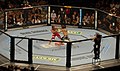 Image 18UFC 74 ; Clay Guida vs. Marcus Aurelio (from Mixed martial arts)