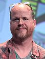 Joss Whedon, creator of Buffy the Vampire Slayer and Firefly, director of The Avengers and co-writer of Toy Story