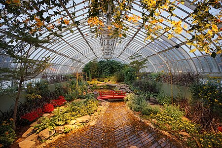 Japanese Garden in Phipps Conservatory (on October 24)