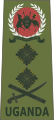 General (Ugandan Land Forces)