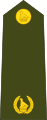 Major (Zimbabwe National Army)[98]