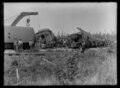 Train wreck in Rainy River District, Ontario, in the 1900s.