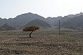 Desert near Nuweiba