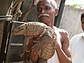 Dada Panchal, of the Lok Biradari Prakalp nursing a monitor lizard at the Amte's Animal Arc.