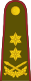 Generolas majoras (Lithuanian Land Forces)[38]