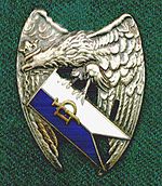 Regimental badge