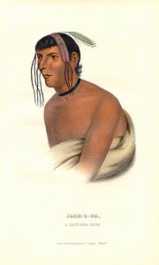 Jack-O-Pa (Zhaagobe/"Six"), a St. Croix Ojibwe chief, from History of the Indian Tribes of North America