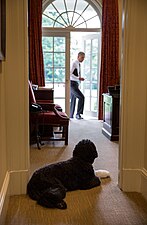 Bo esperant per a saludar al President Obama al Despatx Oval.