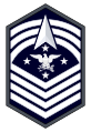 Space Force insignia (2023–present)[13]