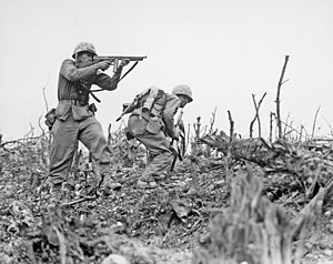 Two Marines from the 2nd Battalion، 1st Marines  [لغات أخرى]‏ advance on Wana Ridge on 18 May 1945.