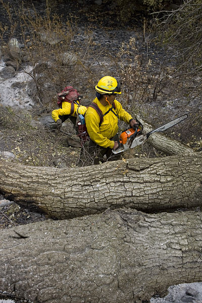 File:FEMA - 33489 - Bureau of Indian Affairs firefighters working in California.jpg