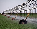 Irrigated agriculture in West Texas
