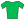 A green jersey.