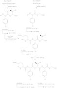 4 - Synthesis of Orn10-Gly14 Subunit