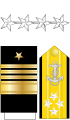 미국 해군 대장 견장과 소매