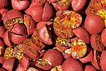 Thumbnail for Areca nut
