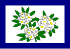 Zastava Zapadne Virginije (1905–1907)