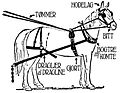 Horse harness, Norwegian terms