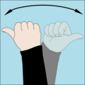 Which direction? A fist is made with one hand with extended thumb and the hand rotated on the axis of the forearm through 180° a few times to ask which way to go.
