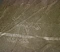 28 juillet 2007 Lignes de Nazca : le Poulpy