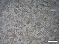 Photomicrograph (PPL) of a recrystallized (and dolomitized) limestone