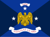 Flag of the Vice Chief of the National Guard Bureau