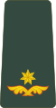 მაიორი Maiori (Georgian Land Forces)[35]