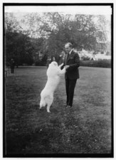 Coolidge amb Rob Roy (1924).