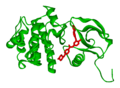 c-abl kinase in complex with imatinib