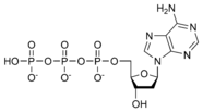 Estructura quimica de la desoxiadenosina trifosfat