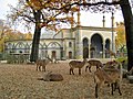 Antelope House in Berlin Zoological Garden.