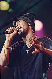 "A man wearing a grey beanie, a dark shirt and a cannabis necklace; singing into a microphone below perspective"