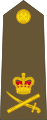 Lieutenant-general[38] (New Zealand Army)