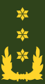 Luitenant-generaal[36] (Royal Netherlands Army)