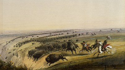 Bison being chased off a cliff as painted by Alfred Jacob Miller
