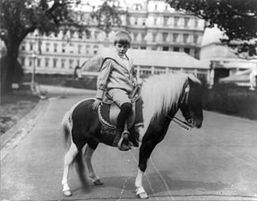 Archie Roosevelt amb el seu poni Algonquin als jardins de la Casa Blanca.