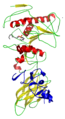 Pancreatic lipase–colipase complex with inhibitor