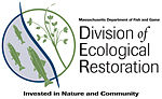 Thumbnail for Massachusetts Division of Ecological Restoration